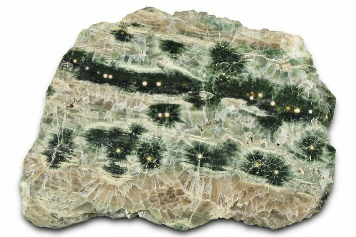 Polished Orbicular Ocean Jasper Slab - Madagascar #382012